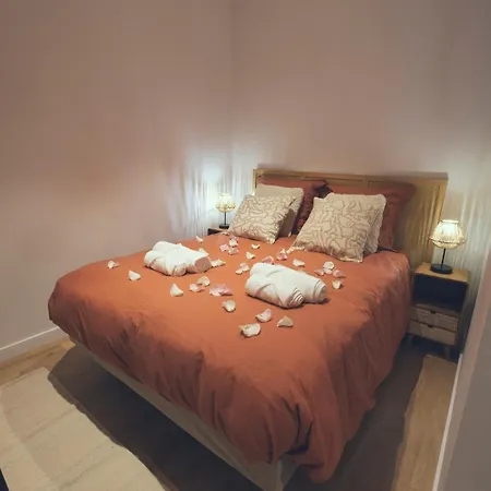 Brisa - T1 Bis Au Coeur D 'arcachon * Arcachon