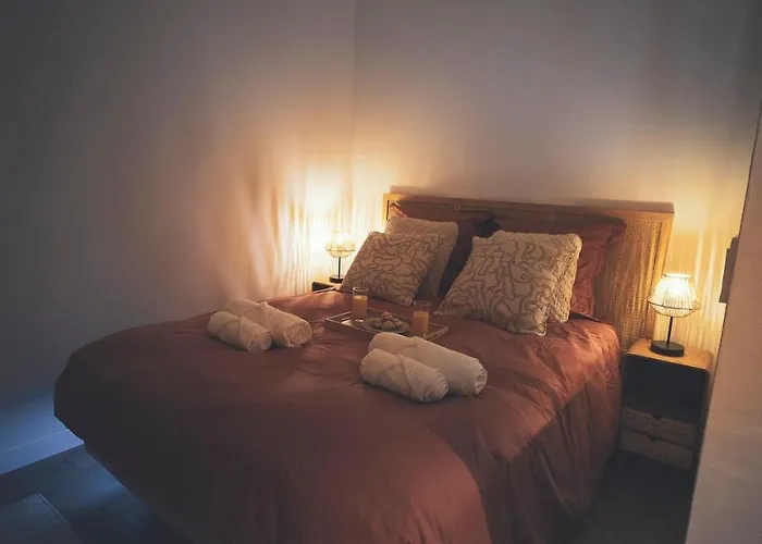 Brisa - T1 Bis Au Coeur D 'arcachon Daire *