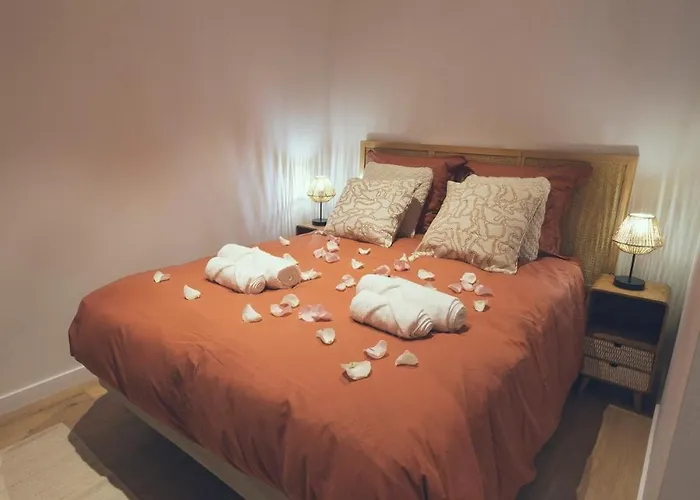 Brisa - T1 Bis Au Coeur D 'arcachon * Arcachon